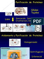 2-Tecnicas de Proteinas