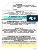 08 Catabolismo_glucidos.pdf
