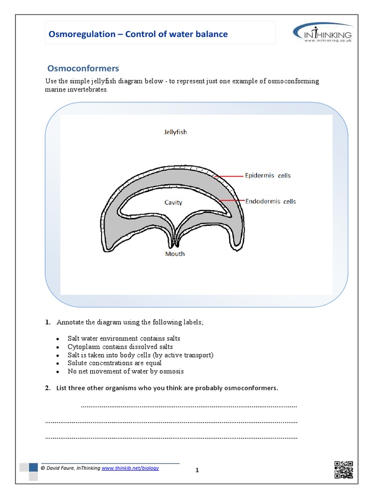 Osmoconformers: Osmoregulation - Control of Water Balance | PDF ...