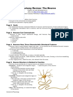 Anatomy Review: The Neuron: Page 1. Introduction