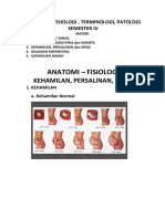 Anatomi, Terminologi Medis Hamil, Bersalin, Nifas