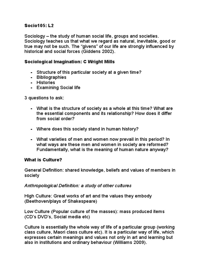 Understanding Sociology and Culture | PDF | Politics | Social Science