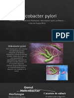 Prezentare Powerpoint Helicobacter pylori.pptx