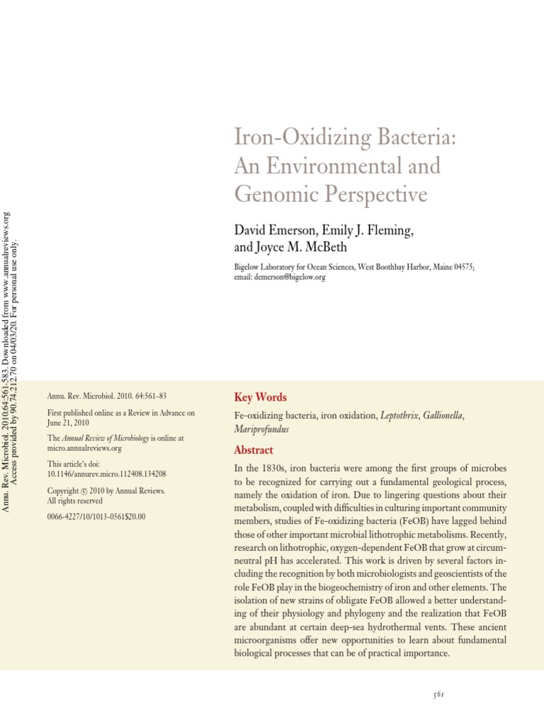 Iron-Oxidizing Bacteria | PDF | Iron | Organisms