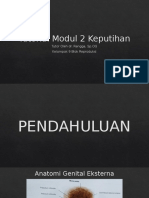 Tutorial Modul 2 Keputihan