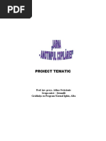 2_proiect_tematic_iarna