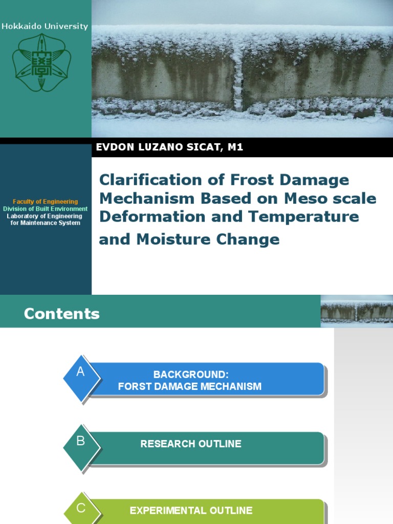 Clarification of Frost Damage Mechanism Based On Meso Scale Deformation ...