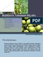 Budidaya Tanaman Kelapa