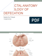 Anorectal Anatomy Physiology of Defecation: Nabila Nur Fidiyah 1102015153