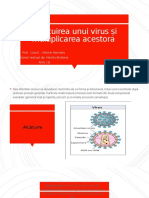 Alcătuirea Unui Virus Și Multiplicarea Acestora