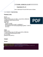 Python TCP and UDP Socket Programming