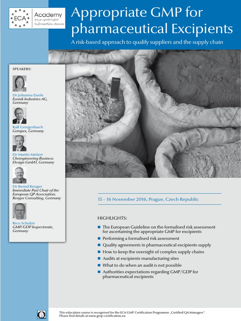 ECA Appropriate GMP For Pharmaceutical Excipients | PDF | Risk | Supply ...