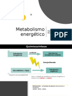 Quimiossíntese e fermentação metabólicas