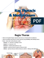 Thorax Organ