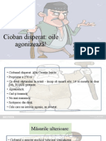 Cioban Disperat - Prezentare Caz MV - Clinica Rumegatoare