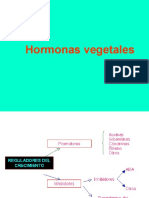 Presentacion Hormonas