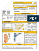 Ficha Tecnica Del Trigo Final PDF