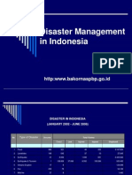 Indonesia Disaster Management