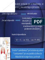 Hipervinculo 2 PDF