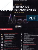 anatomia_dentes_permanentes_glauco-fioranelli.pdf