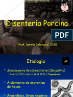 Disentería Porcina. UDCApptx