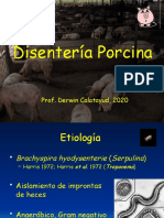 Disentería Porcina. UDCApptx.pptx