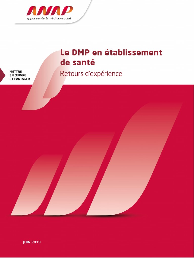 DMP en Etablissement de Sante REX PDF | PDF | Professionnel de la santé ...