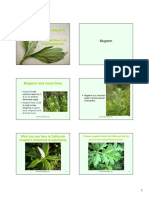 Moxibustion1 2 PDF