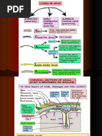 Download Scalp Face by Niyati Parikh SN45778316 doc pdf