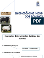 Idade e Raças de Bovinos de Corte PDF