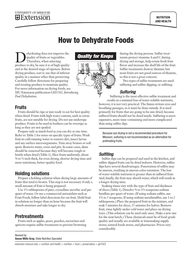 How To Dehydrate Foods PDF Dried Fruit Jerky