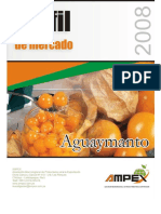 perfil-aguaymanto.pdf