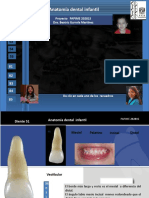 Anatomía Dental Infantil 4590