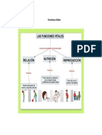 2° - Ciencias Naturales - Funciones Vitales