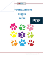 Esterilización de perros y gatos: Beneficios y mitos