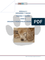 Módulo 1 - Tema 2 origen y razas de perros pdf.pdf