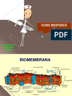 Curs 6 AMG Biofizica