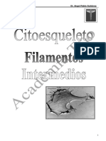 Citoesqueleto-Filamentos Intermedios PDF