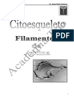 Citoesqueleto-Filamentos de Actina PDF