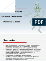 El Sistema Osteomioarticular (SOMA)