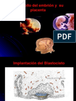 Desarrollo del Embrión y su Placenta