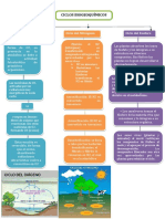 Ciclos Biogeoquimicos