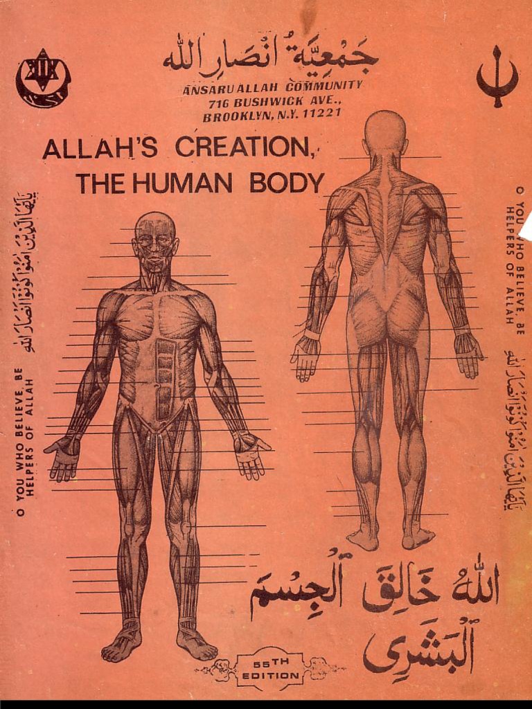 Allahscreation Thehumanbody-1 | PDF | Foreign Language Studies