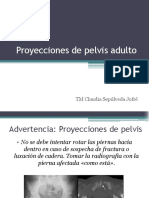 8.1 Proyecciones de Pelvis Adulto