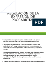 Regulacion de La Expresion de Procariotas