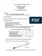 Practica 6 - Flotación PDF