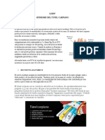 Exposición - Tunel Carpiano