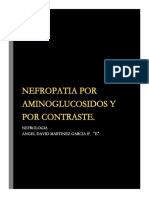 Nefropatia Por Contraste y Por Aminoglucosidos PDF