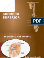 6.osteologia miembro superior