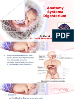 Systema Digestorium 2020.pptx